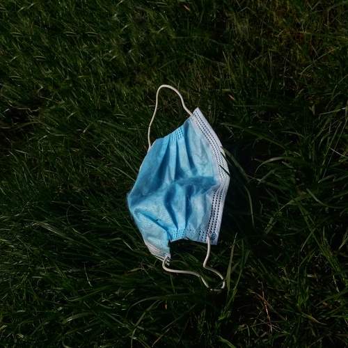 Photo #6518017