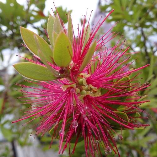 Photo #6518212