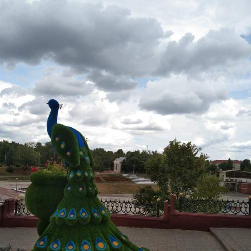 Жар птица