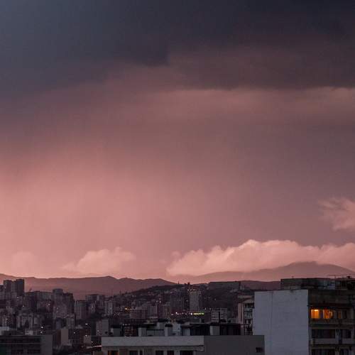Photo #6518580