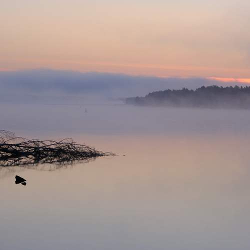 Photo #6518590