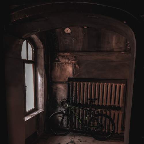 Photo #6518863