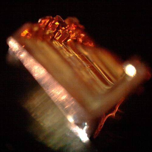 Photo #6519253