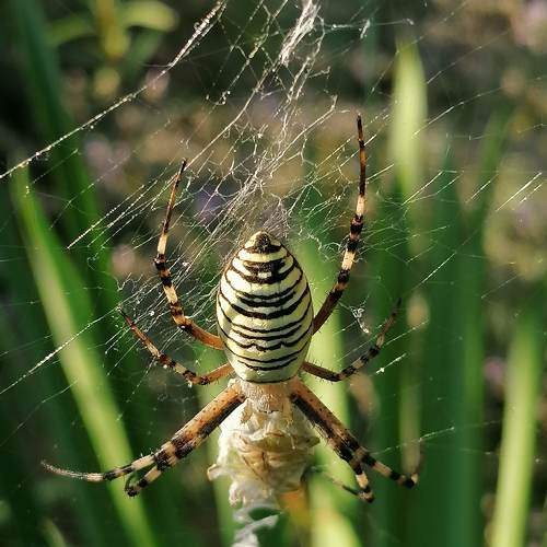 Photo #6519458
