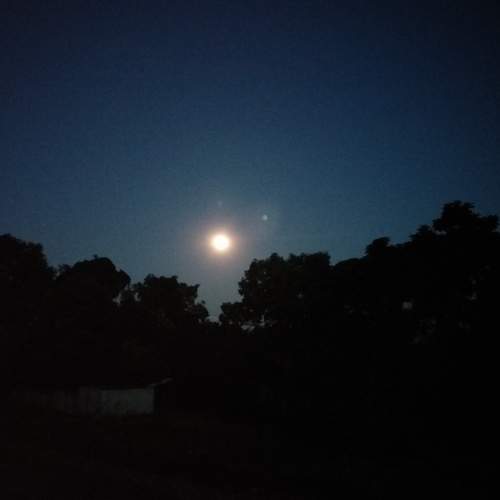 Photo #6519545