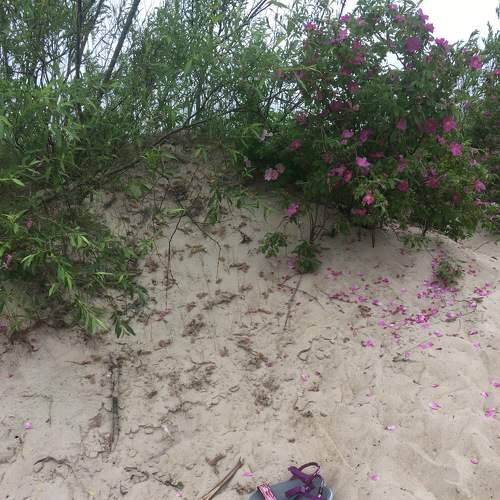 Photo #6519812
