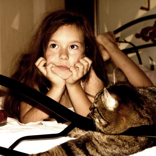 Photo #6519846