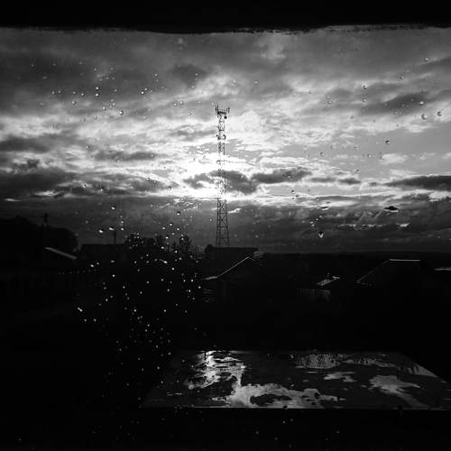 Photo #6520976