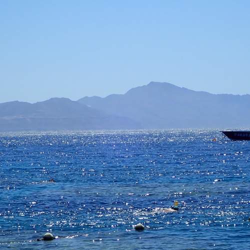 Photo #6521074