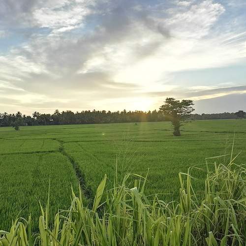 Photo #6521253