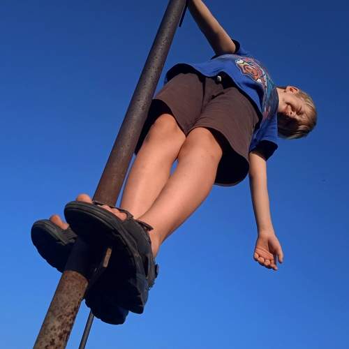 Photo #6521666