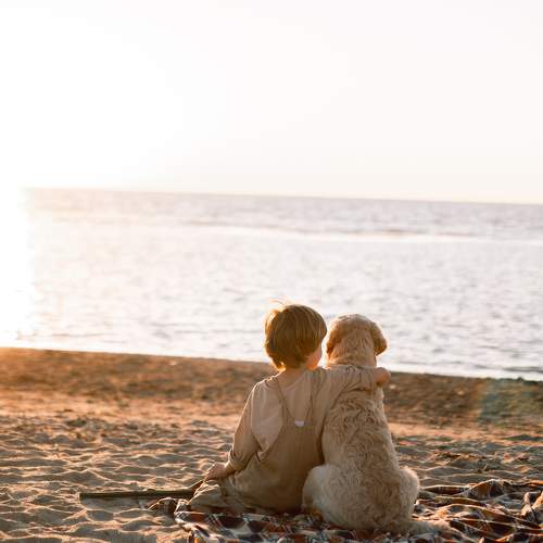 Photo #6522024