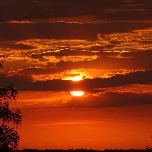 Photo #6522154