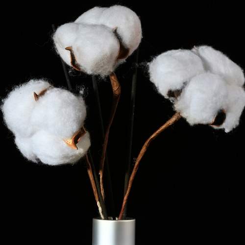 Photo #6522820