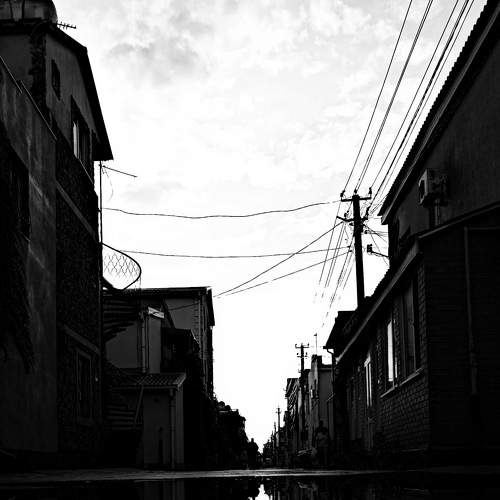 Photo #6522842