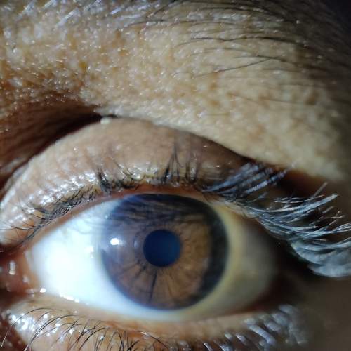 Photo #6522936