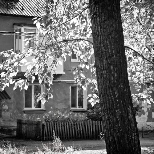 Photo #6523003