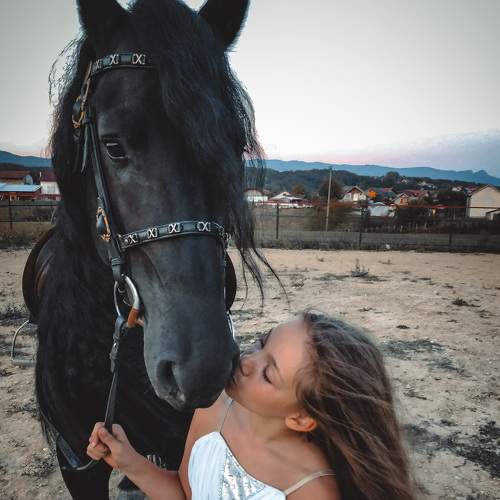 Photo #6523303