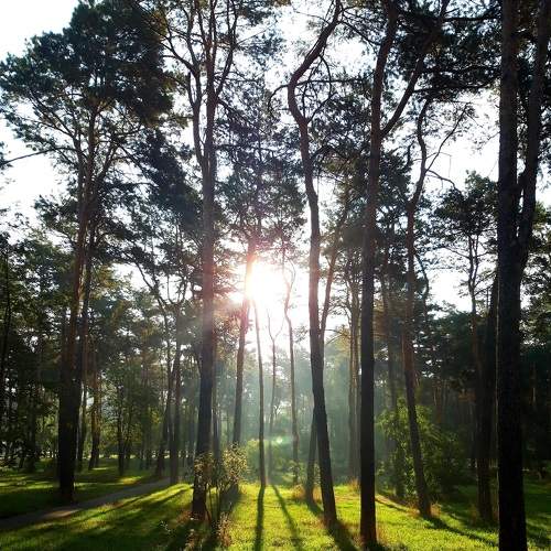 Photo #6523714