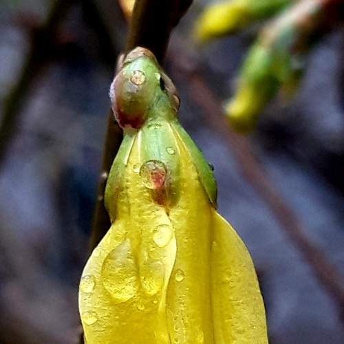 Photo #6523722