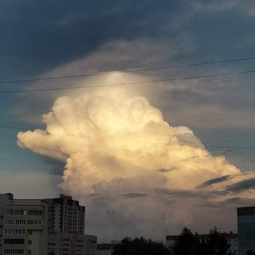 Photo #6523948