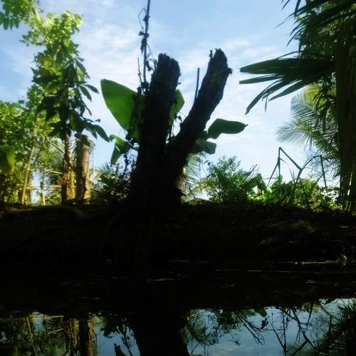 Photo #6524127