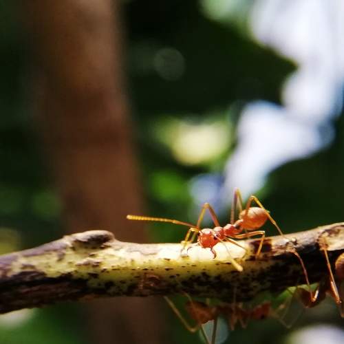Photo #6524197
