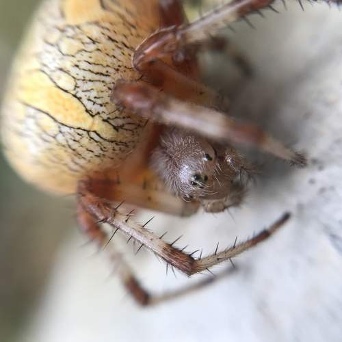 Photo #6524391