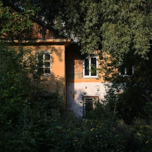 Photo #6524575