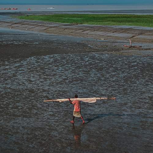 Photo #6525961