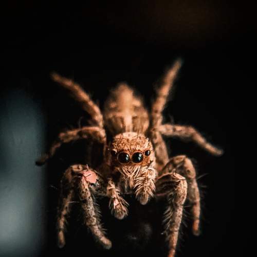 Photo #6526140