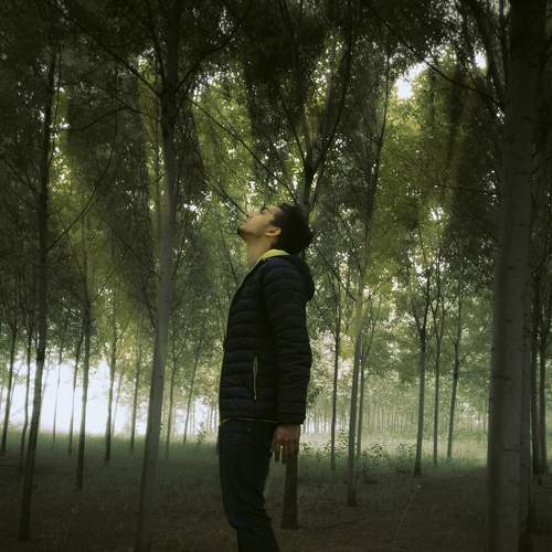 Photo #6526924