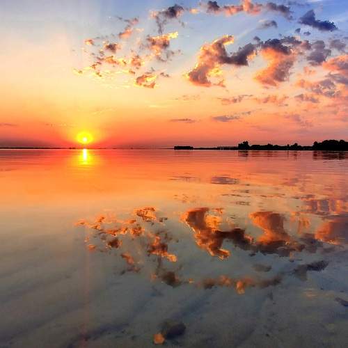Photo #6527074