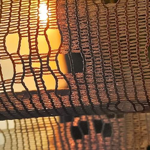 Photo #6527102