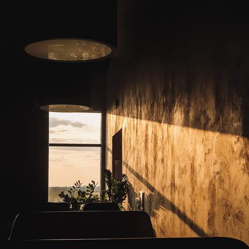 Photo #6527164
