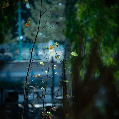 Photo #6527206