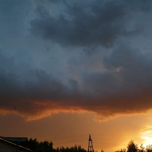 Photo #6528291