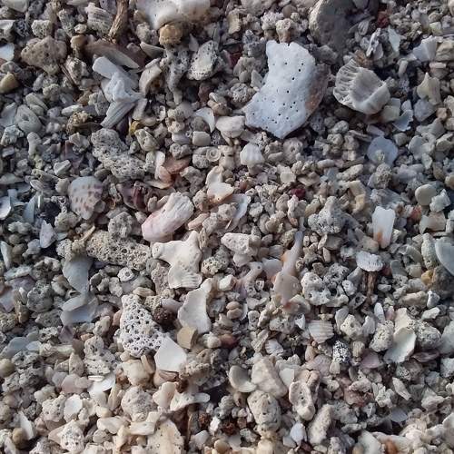 white sand