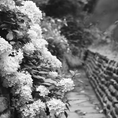 Photo #6528438