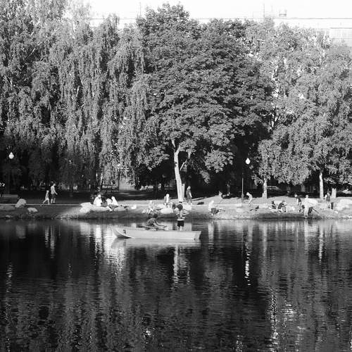 Photo #6528487