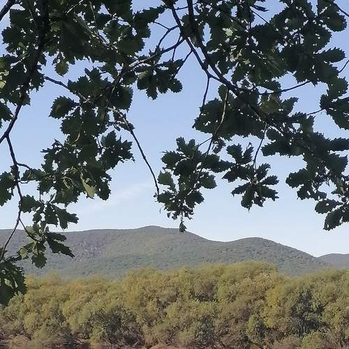Photo #6529056