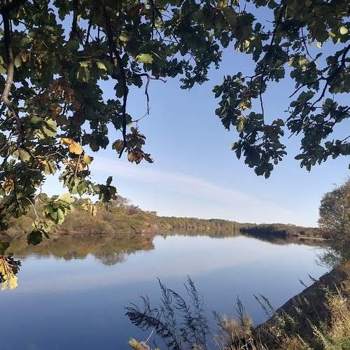 Photo #6529057