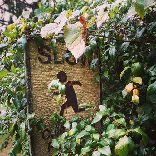 Photo #6529180