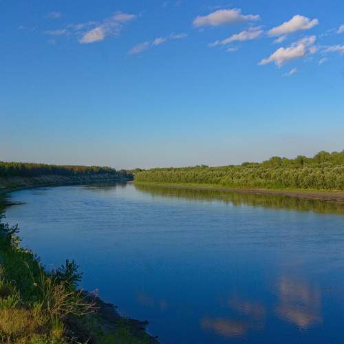 Photo #6529344