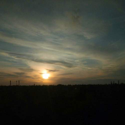 Photo #6529960