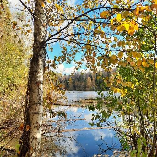 Photo #6530146