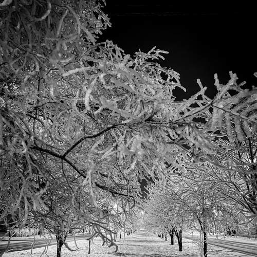 Photo #6530311