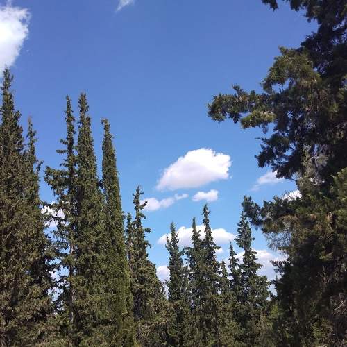 Photo #6530699