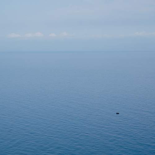 Photo #6531459
