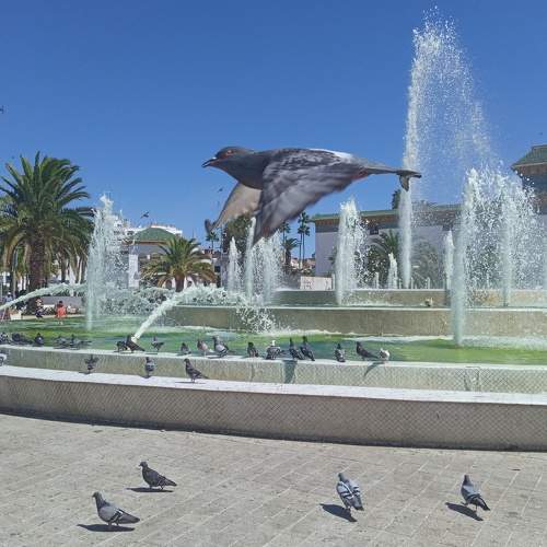 Photo #6531605